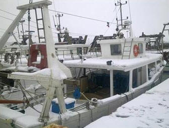 Giulianova, 5.02.2012 - Walter Squeo, Coordinatore di Federpesca Abruzzo, comunica che domani si  ritorna in mare dopo un fermo di ben 20 giorni.Tempo permettendo i vari settori di pesca ritorneranno ad effettuare le normali attivit di pesca che sono state interrotte a causa del caro gasolio che ha indotto tali settori a subire enormi sacrifici e a organizzare manifestazioni a Roma in Montecitorio.